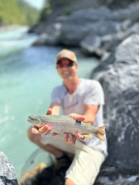 Gefangene Forelle am Fluss